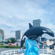 ヒメ日記 2025/07/05 11:30 投稿 ことね 豊満奉仕倶楽部