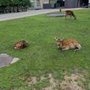 ヒメ日記 2026/01/11 02:06 投稿 みひろ 熟女＆人妻＆ぽっちゃり倶楽部