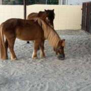 ヒメ日記 2026/01/16 15:06 投稿 みひろ 熟女＆人妻＆ぽっちゃり倶楽部