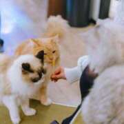 ヒメ日記 2026/01/28 18:56 投稿 AINO（あいの） UTAKATA