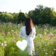 ヒメ日記 2026/03/11 10:03 投稿 AINO（あいの） UTAKATA