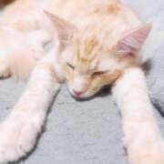 ヒメ日記 2025/09/19 12:25 投稿 リサ ソープランドMAX‐マックス- 浅草店