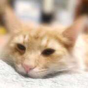 ヒメ日記 2025/12/31 22:59 投稿 リサ ソープランドMAX‐マックス- 浅草店