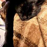 ヒメ日記 2025/12/09 16:17 投稿 黒木　さりな やみつきエステ2nd札幌店