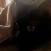 ヒメ日記 2025/12/21 17:55 投稿 黒木　さりな やみつきエステ2nd札幌店