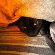 ヒメ日記 2026/01/16 16:06 投稿 黒木　さりな やみつきエステ2nd札幌店