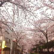 ヒメ日記 2026/04/20 16:05 投稿 黒木　さりな やみつきエステ2nd札幌店