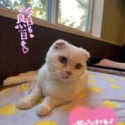 ヒメ日記 2025/12/11 19:52 投稿 すずね 最高級 エロエロ奥様 成田店