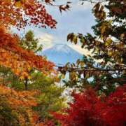 ヒメ日記 2025/12/30 17:00 投稿 さな 奥様はエンジェル　国分寺店