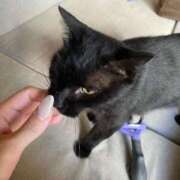 ヒメ日記 2025/12/22 01:03 投稿 なお【アメージング】 大人のゴシャール