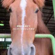 ヒメ日記 2025/12/31 07:03 投稿 なお【アメージング】 大人のゴシャール