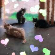 ヒメ日記 2025/06/30 00:30 投稿 羽田　みき 川崎南町 素敵な奥様（川崎ハレ系）