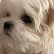 ヒメ日記 2025/07/11 09:46 投稿 羽田　みき 川崎南町 素敵な奥様（川崎ハレ系）