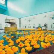 ヒメ日記 2025/09/10 10:05 投稿 羽田　みき 川崎南町 素敵な奥様（川崎ハレ系）