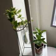 ヒメ日記 2025/10/07 10:58 投稿 羽田　みき 川崎南町 素敵な奥様（川崎ハレ系）