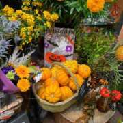 ヒメ日記 2025/10/31 13:25 投稿 羽田　みき 川崎南町 素敵な奥様（川崎ハレ系）