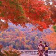 ヒメ日記 2025/11/12 14:19 投稿 羽田　みき 川崎南町 素敵な奥様（川崎ハレ系）