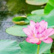 ヒメ日記 2025/12/09 10:07 投稿 羽田　みき 川崎南町 素敵な奥様（川崎ハレ系）