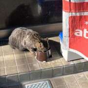 ヒメ日記 2026/01/28 11:07 投稿 羽田　みき 川崎南町 素敵な奥様（川崎ハレ系）