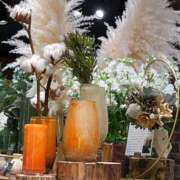 羽田　みき 🍡 川崎南町 素敵な奥様（川崎ハレ系）