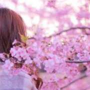 ヒメ日記 2026/03/25 13:58 投稿 羽田　みき 川崎南町 素敵な奥様（川崎ハレ系）