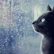 ヒメ日記 2026/03/26 09:53 投稿 羽田　みき 川崎南町 素敵な奥様（川崎ハレ系）