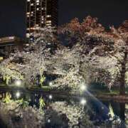 ヒメ日記 2026/04/07 10:45 投稿 羽田　みき 川崎南町 素敵な奥様（川崎ハレ系）