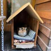 ヒメ日記 2026/05/10 10:09 投稿 羽田　みき 川崎南町 素敵な奥様（川崎ハレ系）