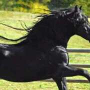 かりん 午 完熟ばなな 立川