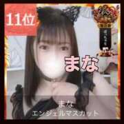 ヒメ日記 2025/11/12 12:31 投稿 まな エンジェルマスカット