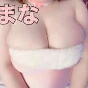 ヒメ日記 2025/11/29 20:21 投稿 まな エンジェルマスカット