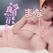 ヒメ日記 2026/03/12 12:21 投稿 まな エンジェルマスカット