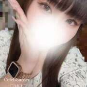 ヒメ日記 2025/08/19 21:51 投稿 メイ Celeb Garden(セレブガーデン)