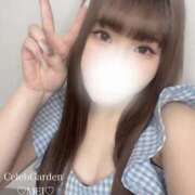 ヒメ日記 2025/09/11 15:19 投稿 メイ Celeb Garden(セレブガーデン)