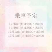 ヒメ日記 2025/12/06 22:24 投稿 ゆづき 電車でGOAL！