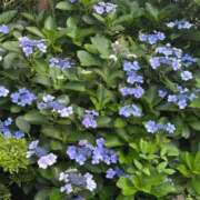 ヒメ日記 2025/07/07 16:58 投稿 葉月えま 洗体アカスリとHなスパのお店