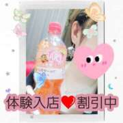 ヒメ日記 2025/06/19 13:15 投稿 猫守 るな 熟女パラダイス鶯谷店(カサブランカグループ)