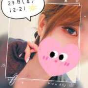 ヒメ日記 2025/06/26 00:27 投稿 猫守 るな 熟女パラダイス鶯谷店(カサブランカグループ)