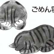 ヒメ日記 2026/09/17 12:56 投稿 スズカ リッチドールなんば店