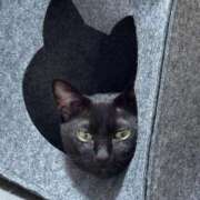 ヒメ日記 2025/09/06 08:52 投稿 伊達 MadameRest(マダムレスト)