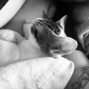 ヒメ日記 2025/10/23 12:03 投稿 伊達 MadameRest(マダムレスト)