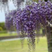 ヒメ日記 2025/10/28 09:47 投稿 伊達 MadameRest(マダムレスト)