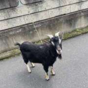 ヒメ日記 2025/10/29 08:58 投稿 伊達 MadameRest(マダムレスト)