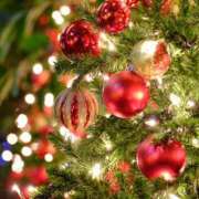 ヒメ日記 2025/12/24 09:00 投稿 伊達 MadameRest(マダムレスト)