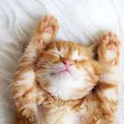 ヒメ日記 2026/02/20 12:01 投稿 伊達 MadameRest(マダムレスト)