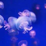 ヒメ日記 2026/02/26 09:54 投稿 伊達 MadameRest(マダムレスト)