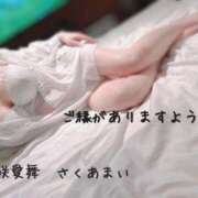 ヒメ日記 2025/07/01 08:05 投稿 咲愛舞 五十路マダムセレブリティ横浜店（カサブランカグループ）