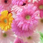 ヒメ日記 2025/07/19 09:13 投稿 咲愛舞 五十路マダムセレブリティ横浜店（カサブランカグループ）