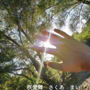 ヒメ日記 2025/09/06 08:33 投稿 咲愛舞 五十路マダムセレブリティ横浜店（カサブランカグループ）