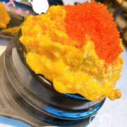 ヒメ日記 2025/06/23 12:00 投稿 すい やんちゃな子猫日本橋本店